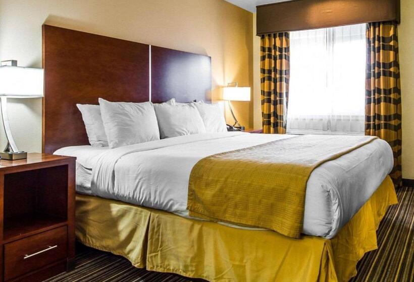 스탠다드 룸 킹사이즈 침대, Motel 6 Martinez, Ca