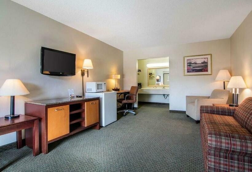 스위트 킹사이즈 침대, Econo Lodge Inn & Suites Conference Center Dublin