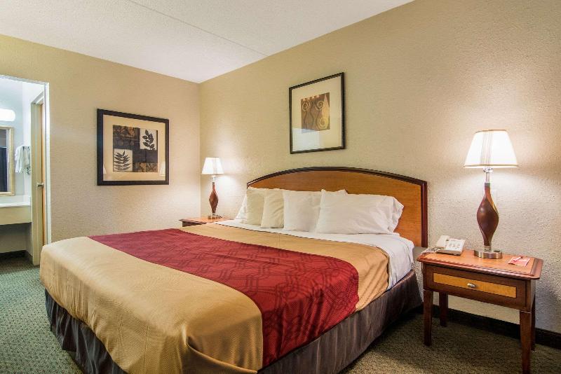 스탠다드 룸 킹사이즈 침대, Econo Lodge Inn & Suites Conference Center Dublin