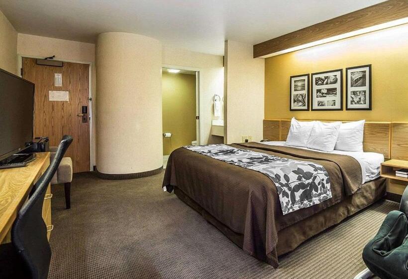 Номер Стандарт Адаптированный для Инвалидов, Quality Inn Moab Slickrock Area