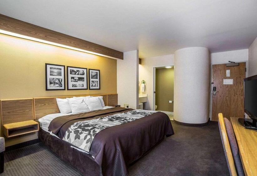 Номер Стандарт Адаптированный для Инвалидов, Quality Inn Moab Slickrock Area