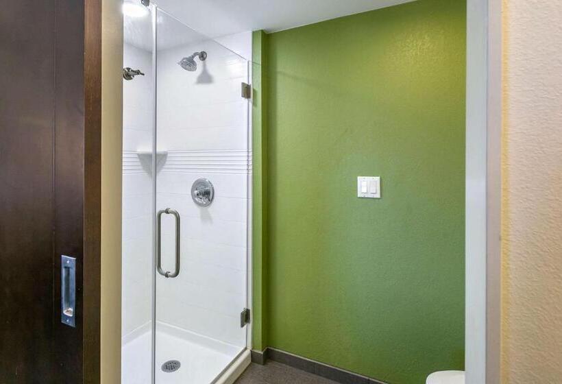 اتاق استاندارد با 2 تخت دوبل, Sleep Inn Allentown Fogelsville