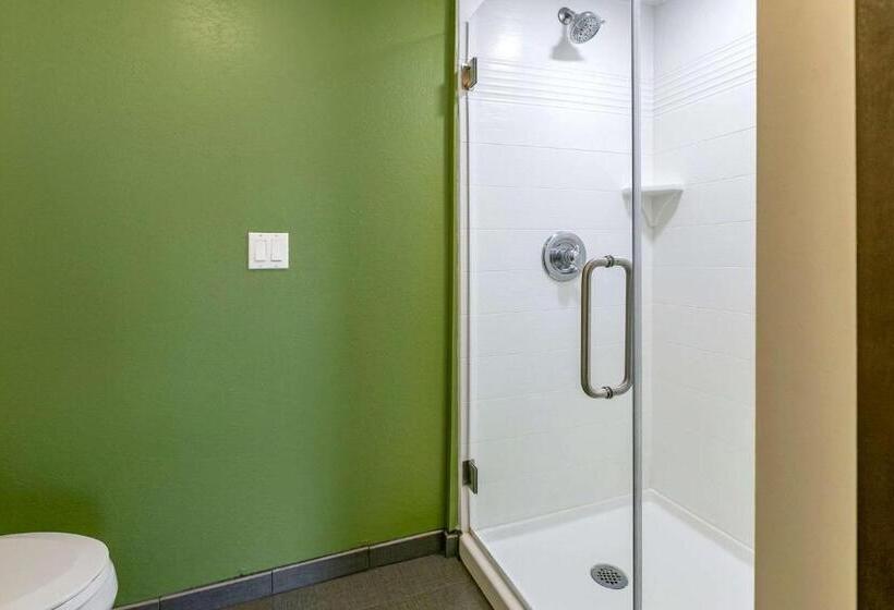 اتاق استاندارد با تخت بزرگ, Sleep Inn Allentown Fogelsville