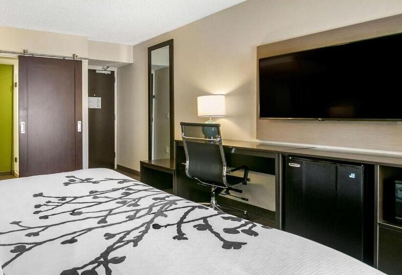 اتاق استاندارد با تخت بزرگ, Sleep Inn Allentown Fogelsville