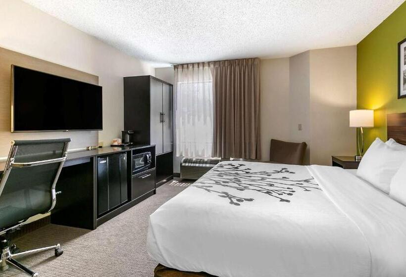 اتاق استاندارد با تخت بزرگ, Sleep Inn Allentown Fogelsville