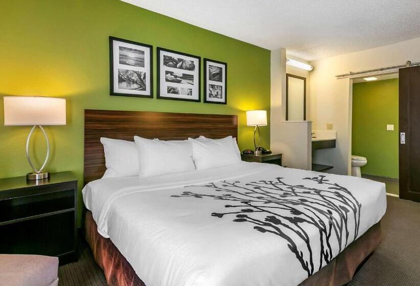 اتاق استاندارد با تخت بزرگ, Sleep Inn Allentown Fogelsville
