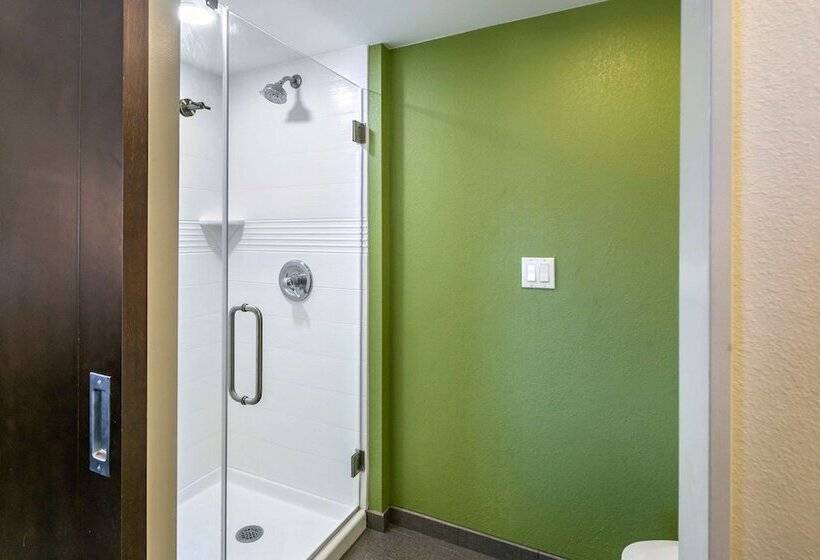 اتاق استاندارد با 2 تخت دوبل, Sleep Inn Allentown Fogelsville