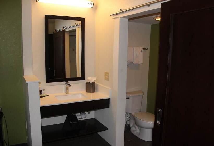 اتاق استاندارد با 2 تخت دوبل, Sleep Inn Allentown Fogelsville