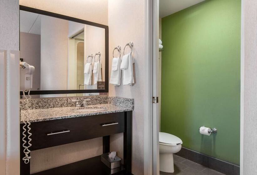 Номер Стандарт 2 Двуспальные Кровати, Sleep Inn Carlisle South