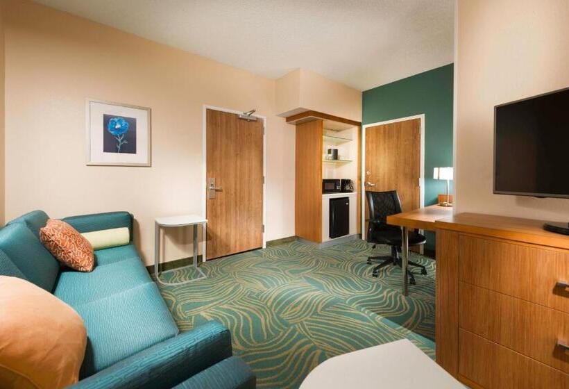 장애인을 위한 스위트, Springhill Suites By Marriott Bentonville