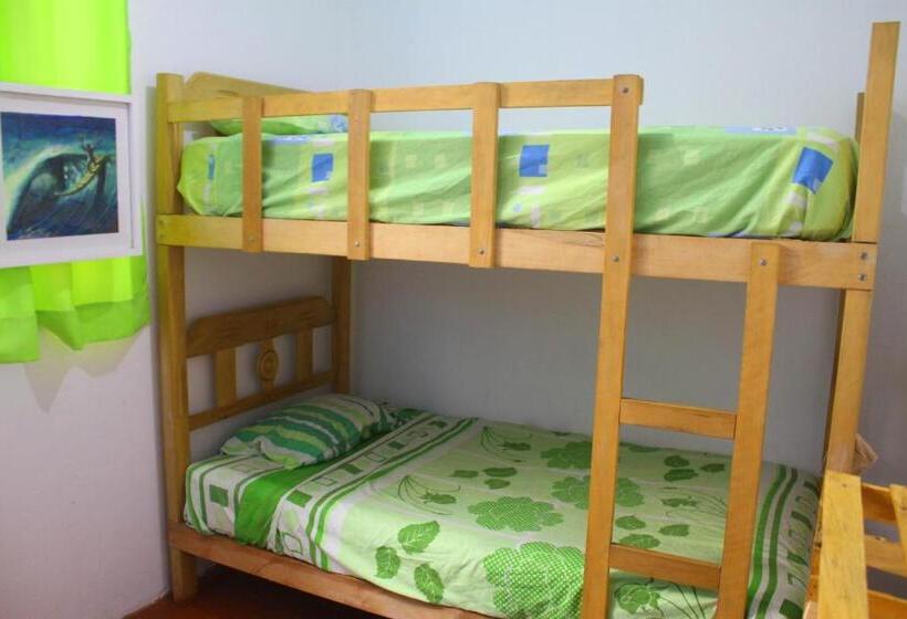 تختخواب در اتاق مشترک, Urcia Surf House