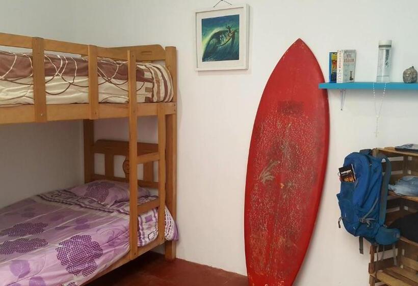 تختخواب در اتاق مشترک, Urcia Surf House