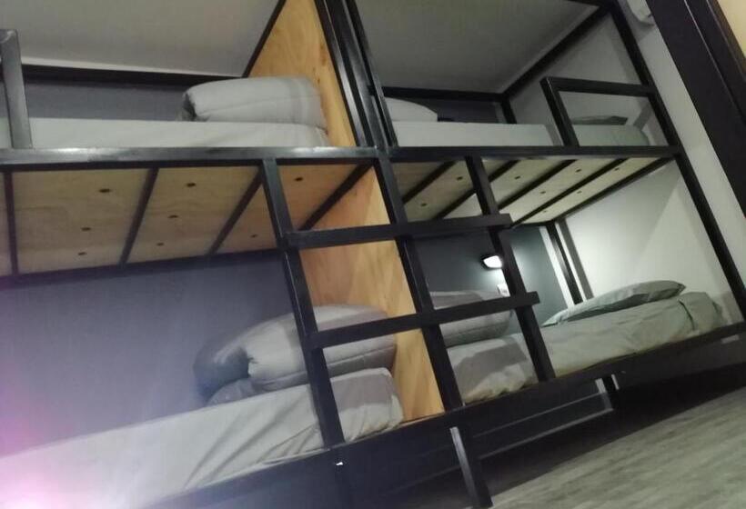 اتاق استاندارد چهار تخته, Ruta Elqui