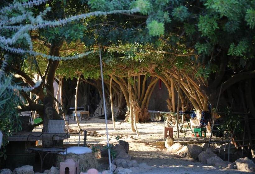 اتاق لوکس, Dar Tawarta Guest House Dakhla