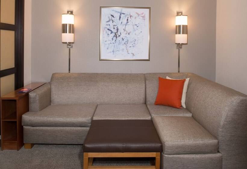 Номер Стандарт 2 Двуспальные Кровати, Hyatt Place Dallas/north Arlington/grand Prairie