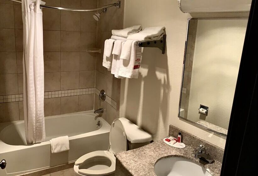 豪华房间, Super 8 By Wyndham Stamford/new York City Area