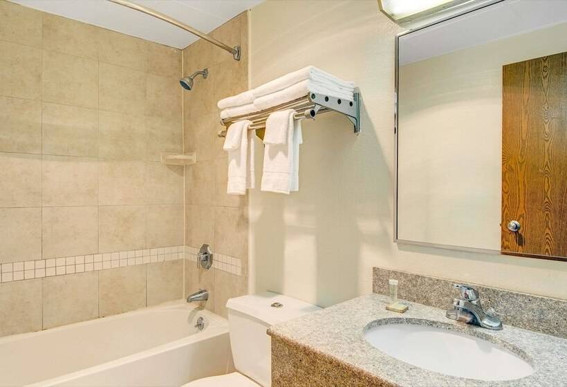 带2个双人床的标准工作室, Super 8 By Wyndham Stamford/new York City Area