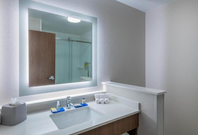 Номер Стандарт Кровать Кинг Адаптированный для Инвалидов, Holiday Inn Express & Suites   Colorado Springs South I 25, An Ihg