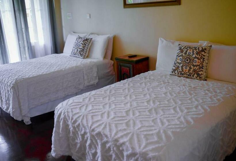 اتاق لوکس, Blue Paloma Bed & Breakfast