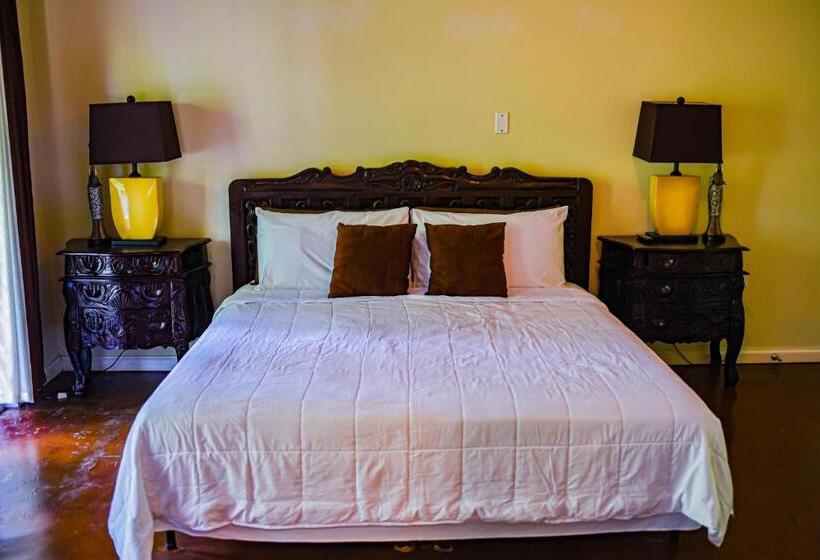 اتاق استاندارد با تخت بزرگ برای معلولان, Blue Paloma Bed & Breakfast