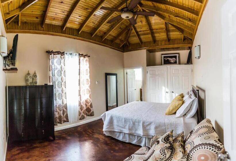 اتاق استاندارد با چشم‌انداز باغ, Blue Paloma Bed & Breakfast