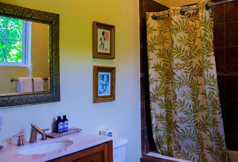 اتاق استاندارد با تخت بزرگ, Blue Paloma Bed & Breakfast