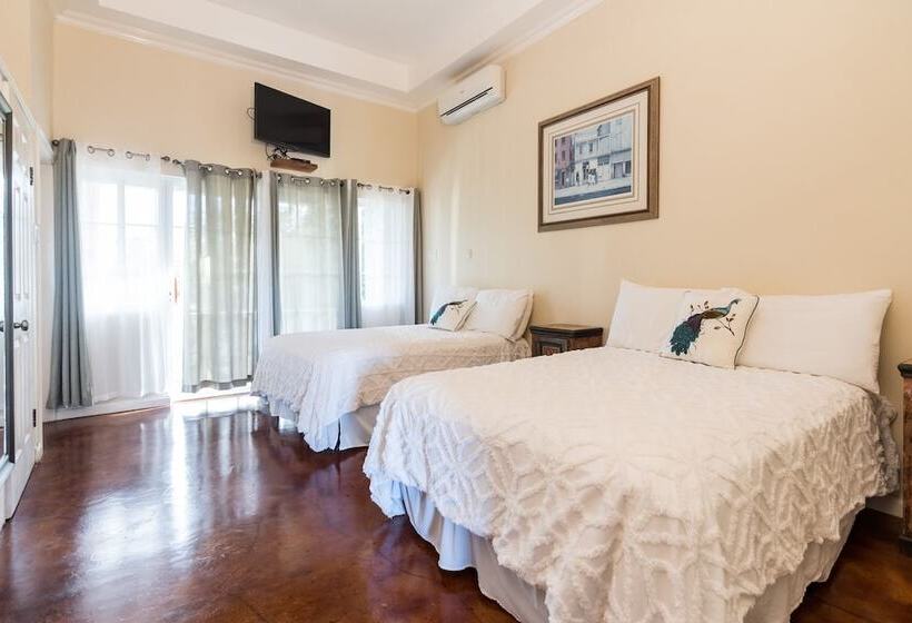 اتاق پریمیوم با چشم‌انداز باغ, Blue Paloma Bed & Breakfast