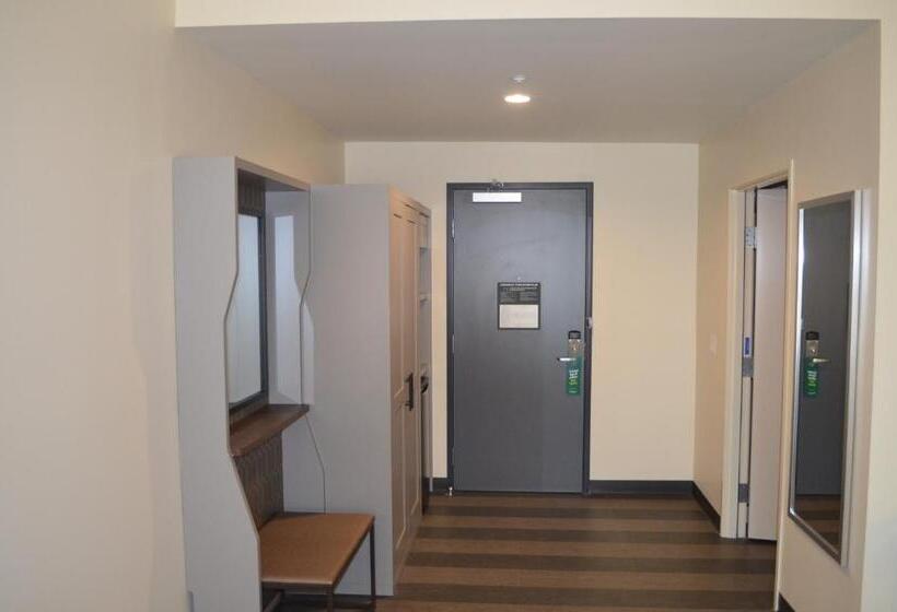 带大床的行政房间, Holiday Inn   Nw Houston Beltway 8, An Ihg