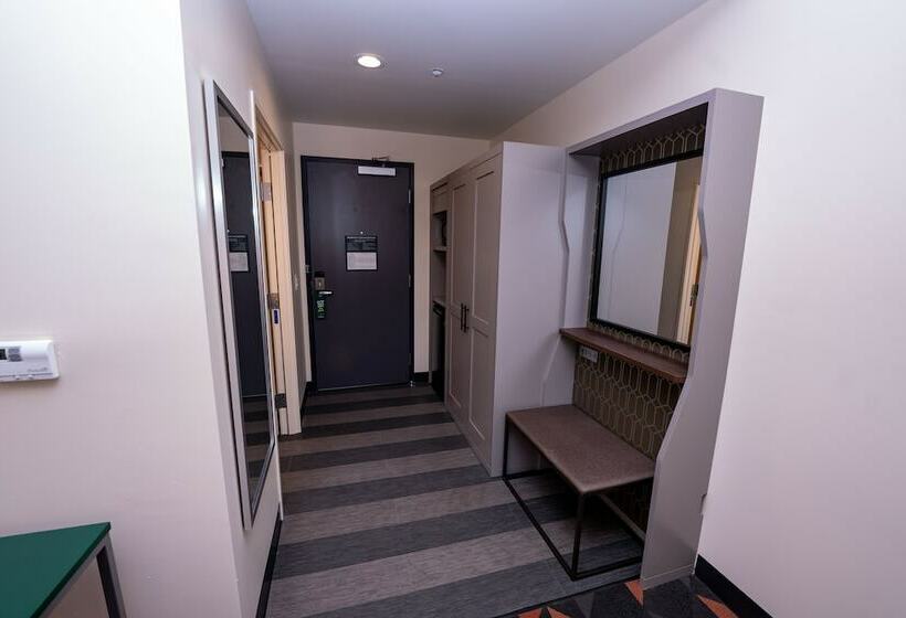 标准间, Holiday Inn   Nw Houston Beltway 8, An Ihg