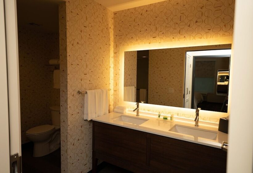 适合残疾人士使用的套间, Holiday Inn   Nw Houston Beltway 8, An Ihg