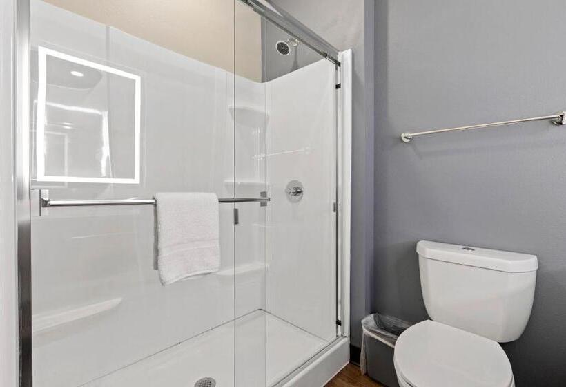 스탠다드 스튜디오, Extended Stay America Premier Suites  Tampa  Gibsonton  Riverview