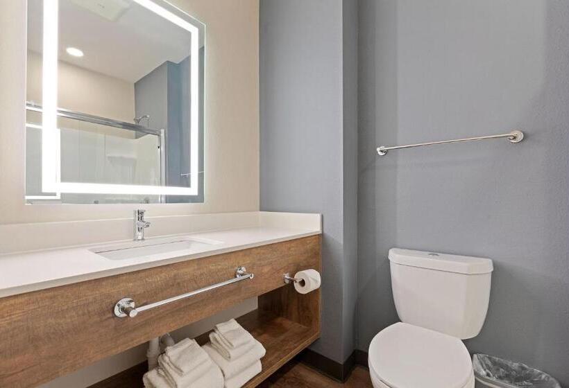 스탠다드 스튜디오 킹침대, Extended Stay America Premier Suites  Tampa  Gibsonton  Riverview