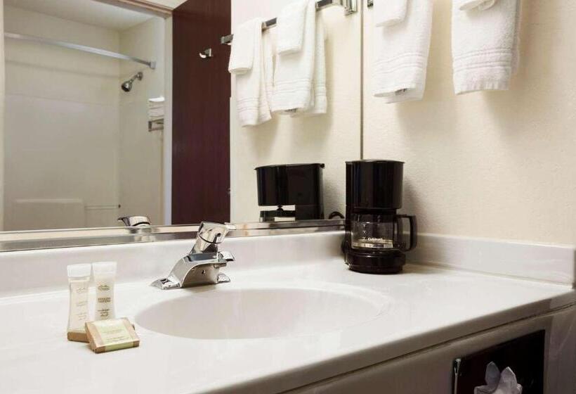 חדר סטנדרט עם מיטת קינג, Super 8 By Wyndham Aurora/naperville Area