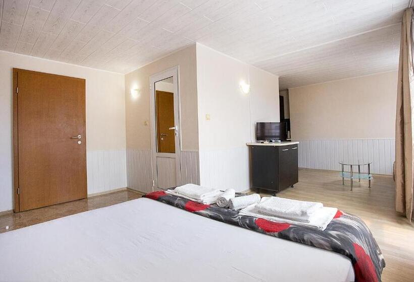 Студио Стандарт Кровать Кинг, Sineva Guest House