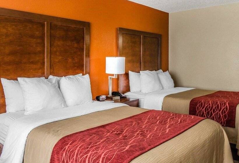 Номер Стандарт 2 Двуспальные Кровати, Comfort Inn & Suites Lakeland North I4
