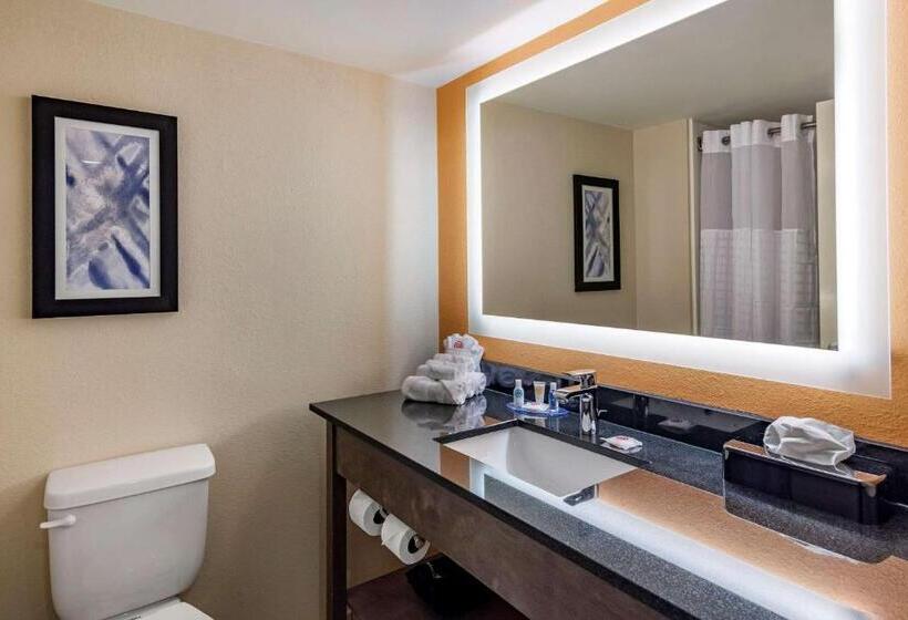 Quarto Estandar, Comfort Suites Alpharetta Roswell   Atlanta Area