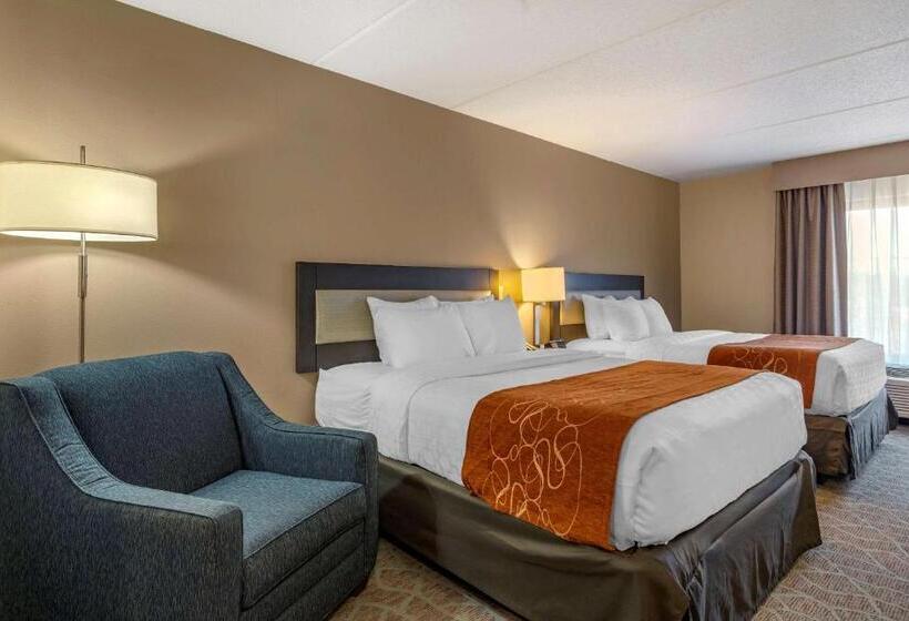 Quarto Estandar, Comfort Suites Alpharetta Roswell   Atlanta Area