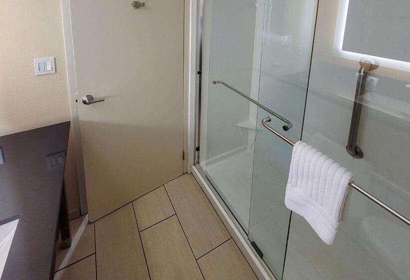 Quarto Estandar Cama King para Deficientes Físicos, Comfort Suites Alpharetta Roswell   Atlanta Area
