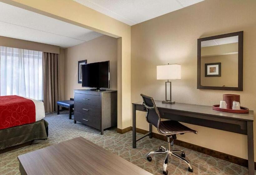 Quarto Estandar Cama King para Deficientes Físicos, Comfort Suites Alpharetta Roswell   Atlanta Area