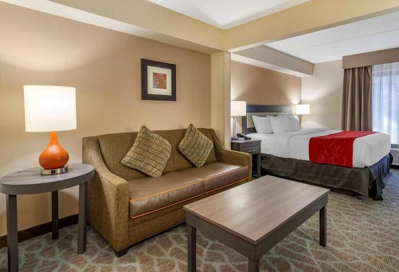 Quarto Estandar Cama King, Comfort Suites Alpharetta Roswell   Atlanta Area