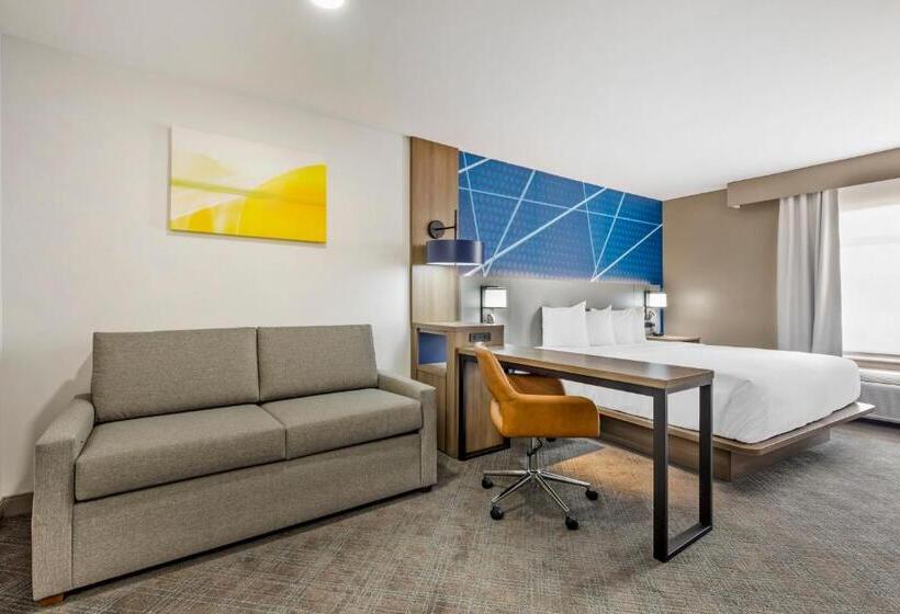 Quarto Estandar Cama King, Comfort Inn & Suites Irving Las Colinas Dfw