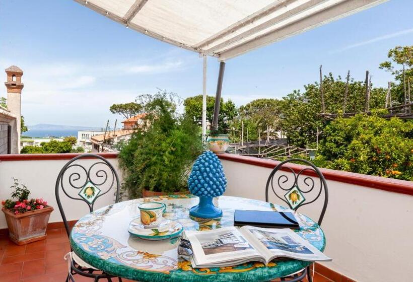 标准间带露台, Villa Maresca B&b