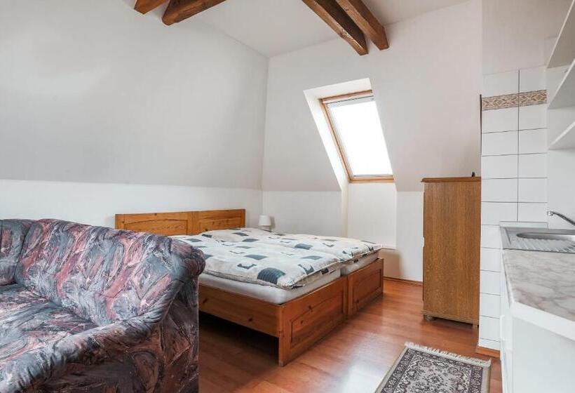 استودیوی استاندارد, Penzion Bedrč