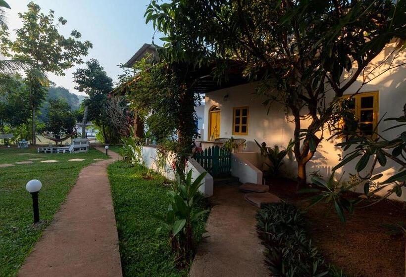 高级家庭房间, The Hammock Goa