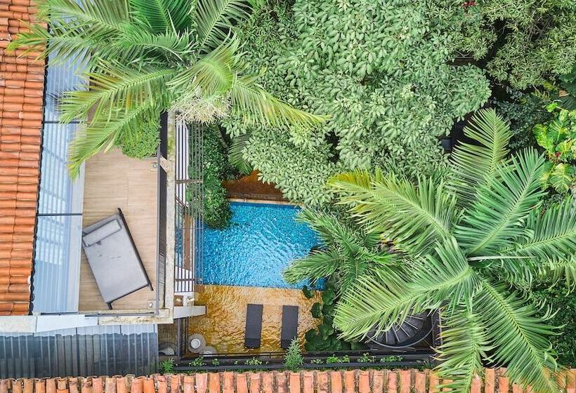스위트, Alko Hotel Casa Nispero