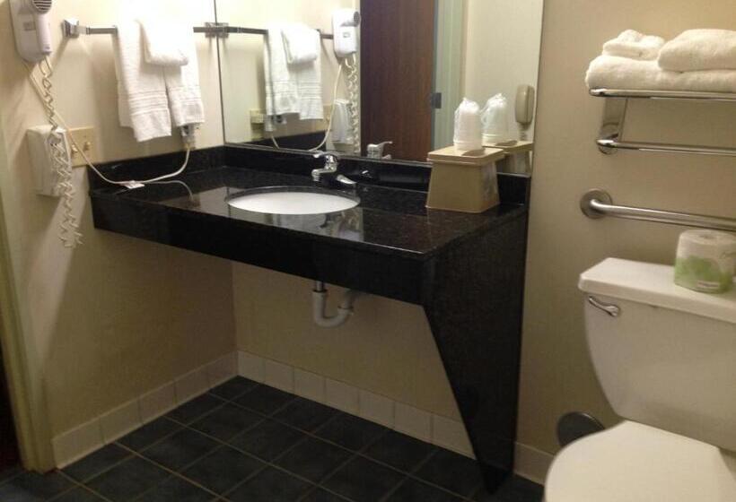 장애인을 위한 스탠다드 룸, Best Western Clearlake Plaza