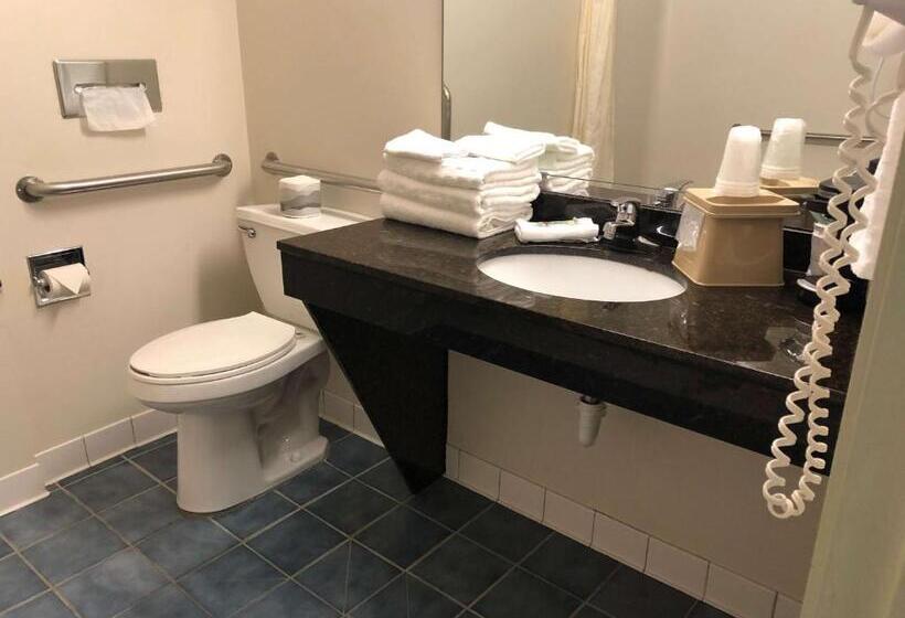 장애인을 위한 스탠다드 룸, Best Western Clearlake Plaza