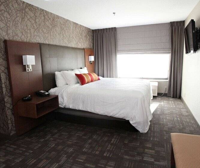 스위트, Best Western Plus Cottontree Inn