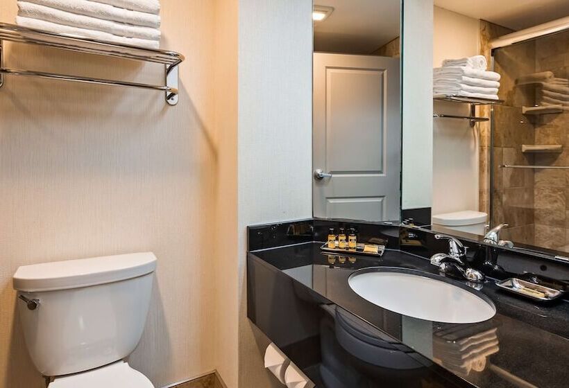 Номер Стандарт 2 Двуспальные Кровати, Best Western Plus Inntowner Madison