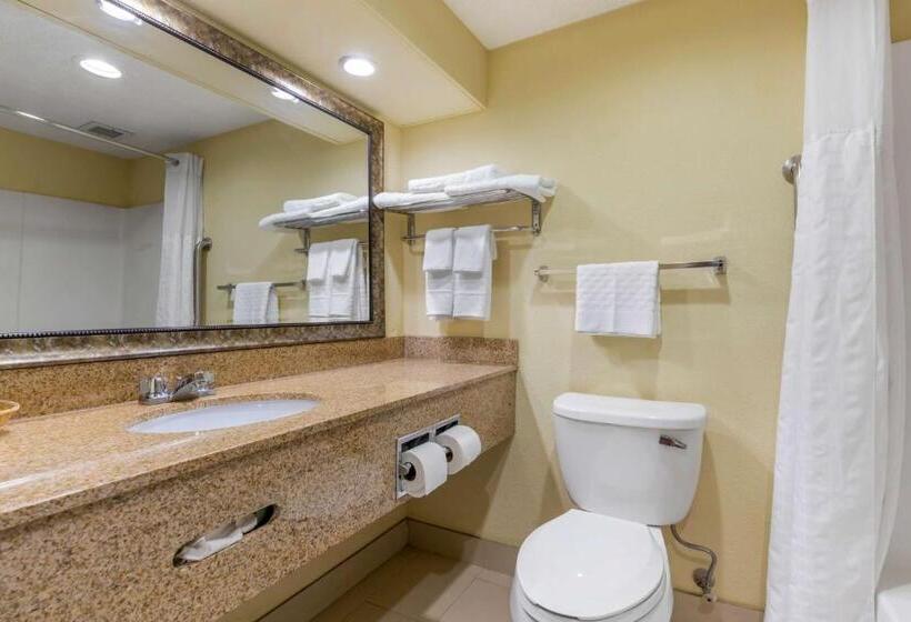 Люкс Кровать Кинг, Best Western Seneca Clemson